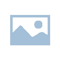 鄭州滅老鼠公司管用嗎？